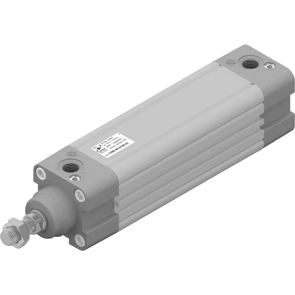 Cilindro ecoplus Ø40 carrera 40 versión base con vástago cromado magnético y doble efecto