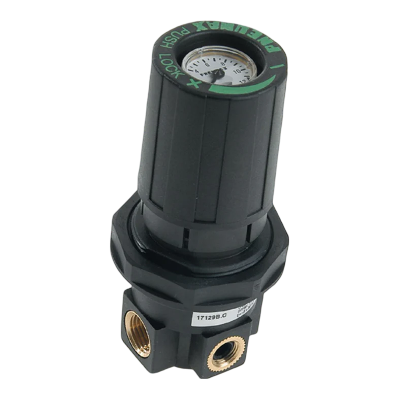 Regulador de panel con manómetro integrado de cuerpo en tecnopolímero G1/4", 0 - 12 bar